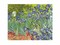 Framed Art Les Iris by Vincent van Gogh - Floral Masterpiece Wall, 23.5 inches